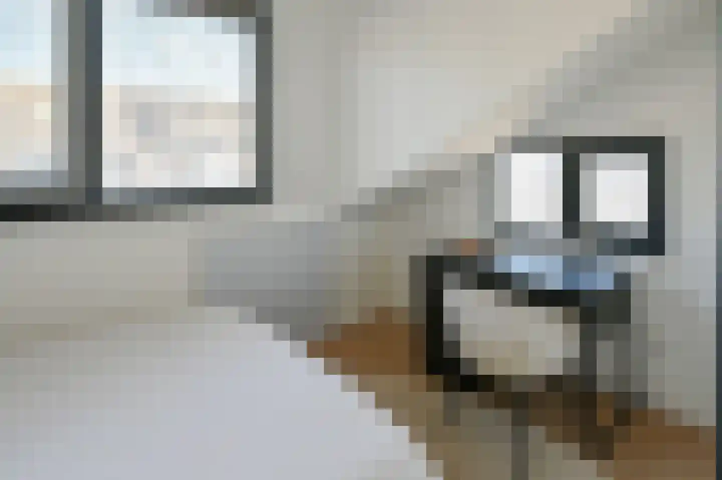 Ringdijk 4 De Kwakel thumbnail 20