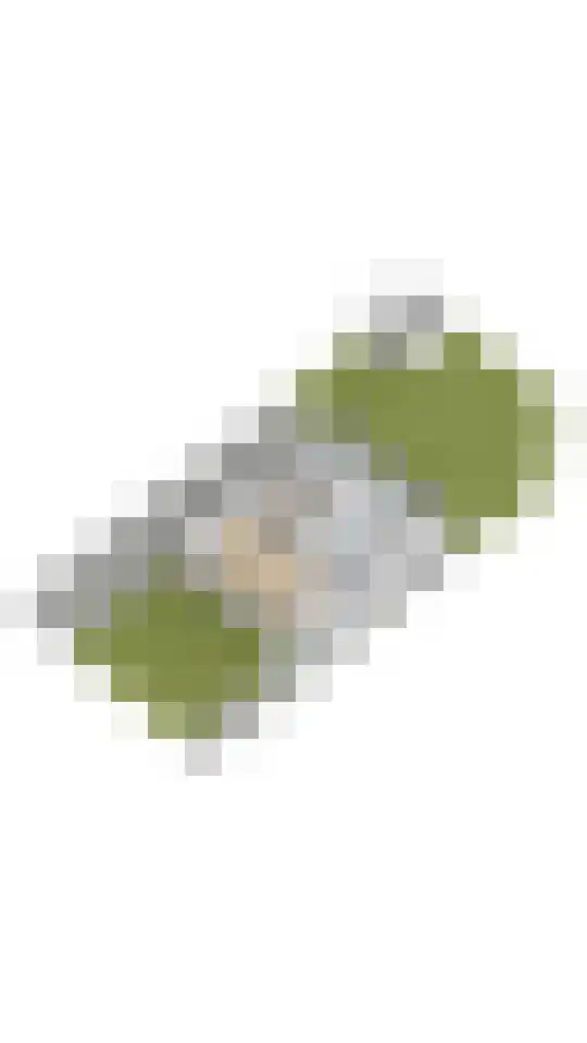 Ringdijk 4 De Kwakel thumbnail 32
