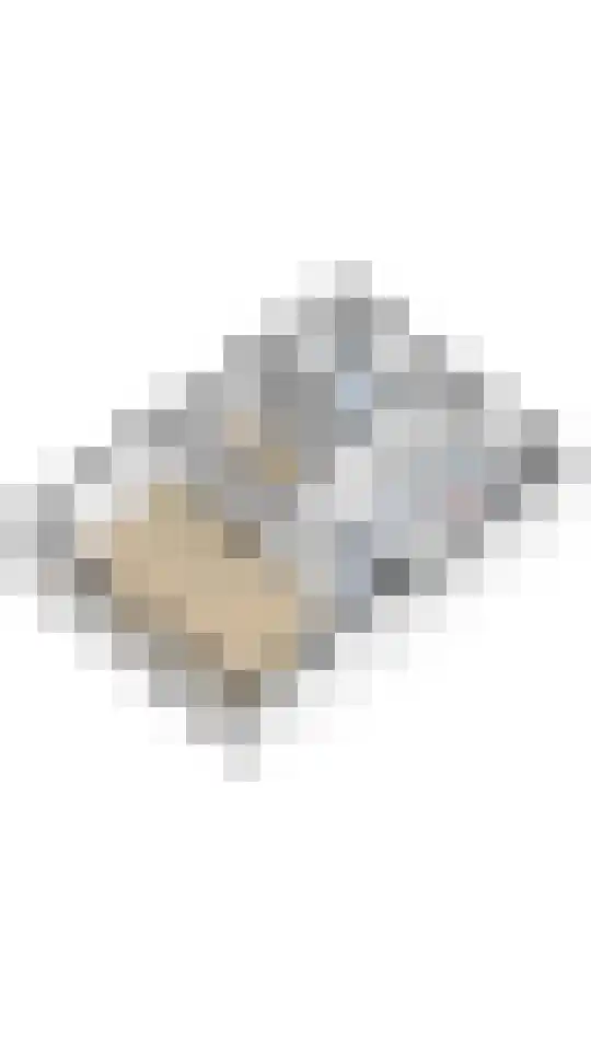 Ringdijk 4 De Kwakel thumbnail 34