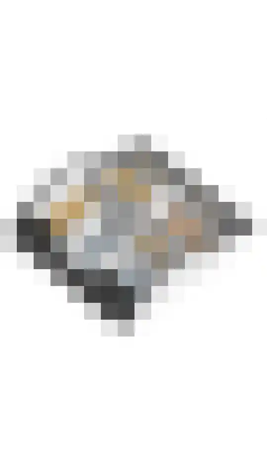 Ringdijk 4 De Kwakel thumbnail 36