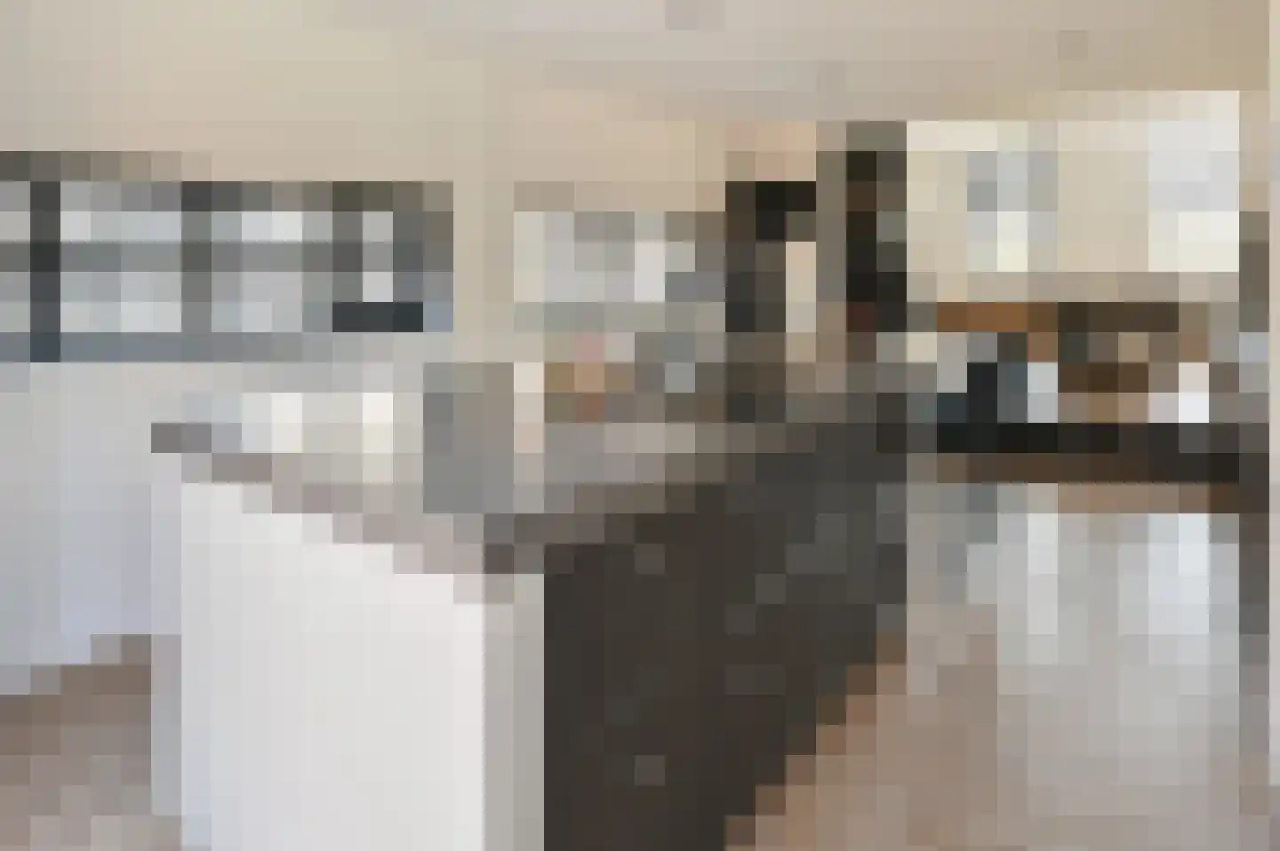 Ringdijk 4 De Kwakel thumbnail 4
