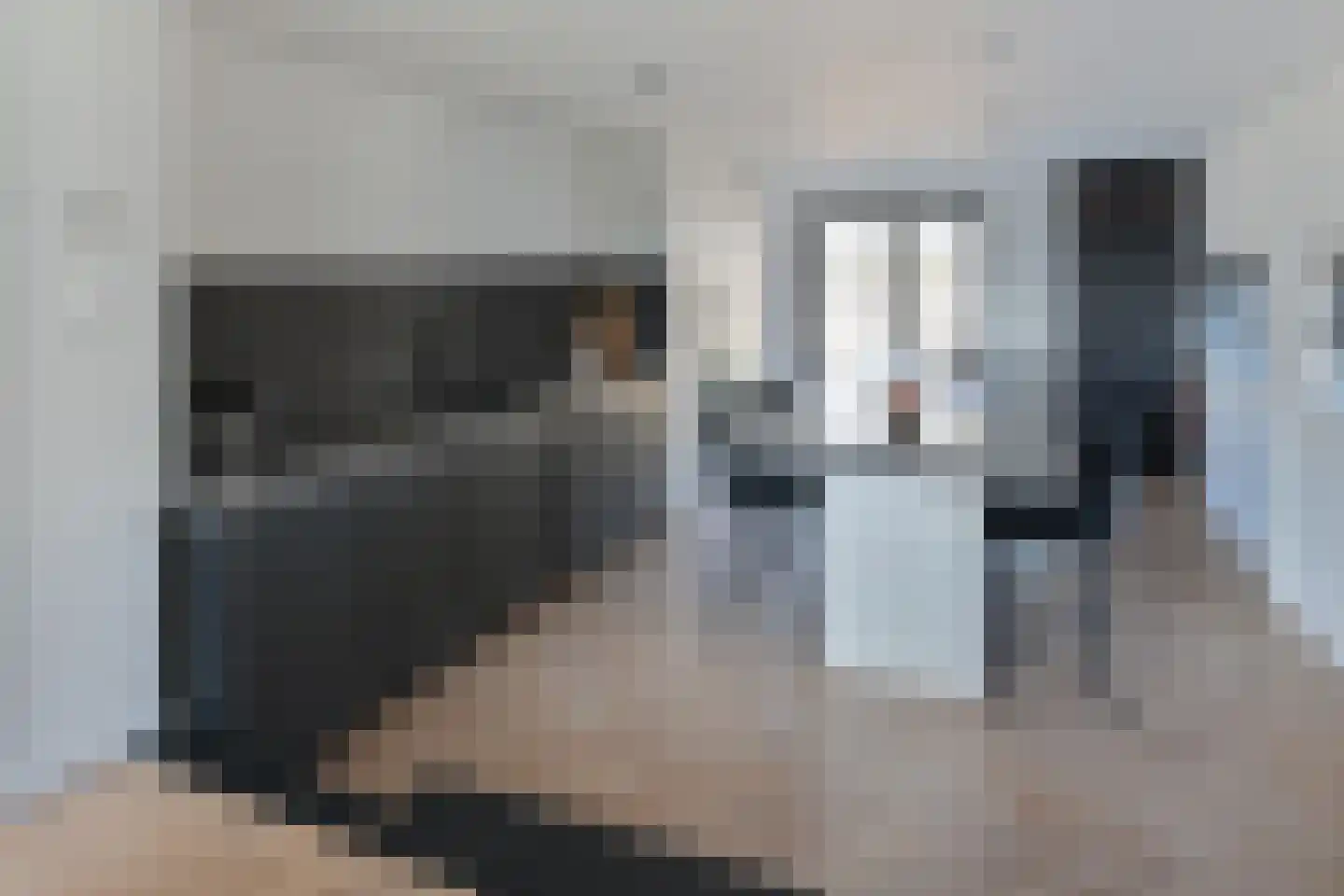 Ringdijk 4 De Kwakel thumbnail 5