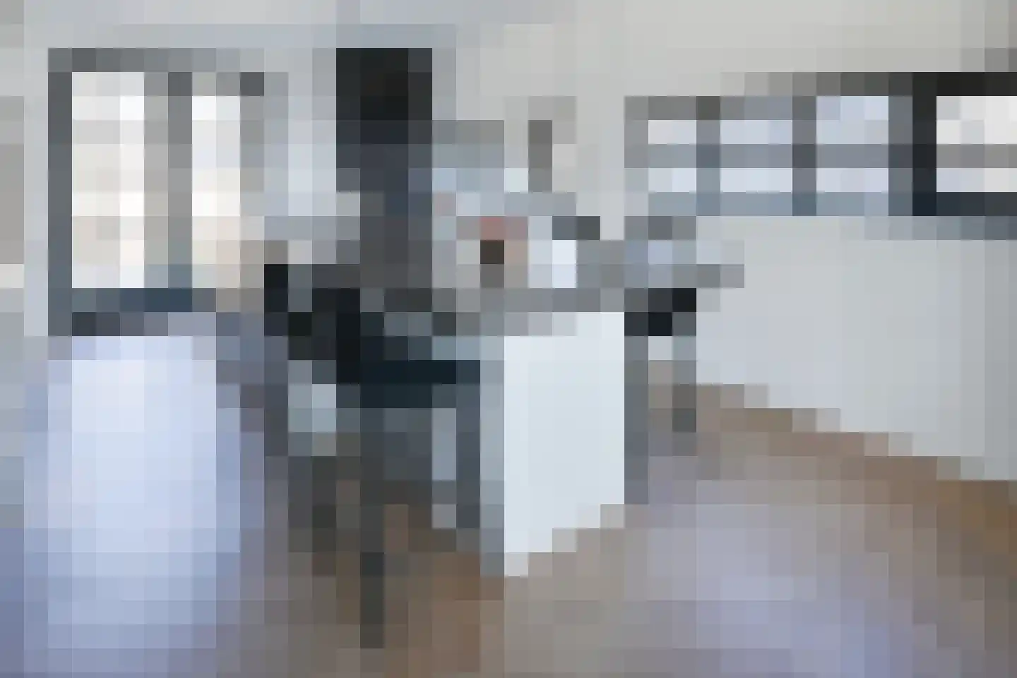 Ringdijk 4 De Kwakel thumbnail 6