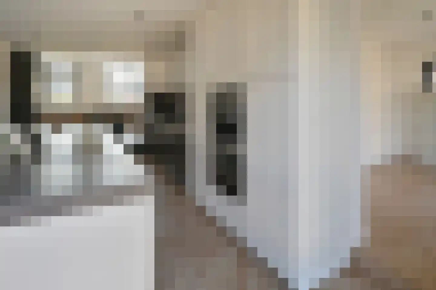 Ringdijk 4 De Kwakel thumbnail 7