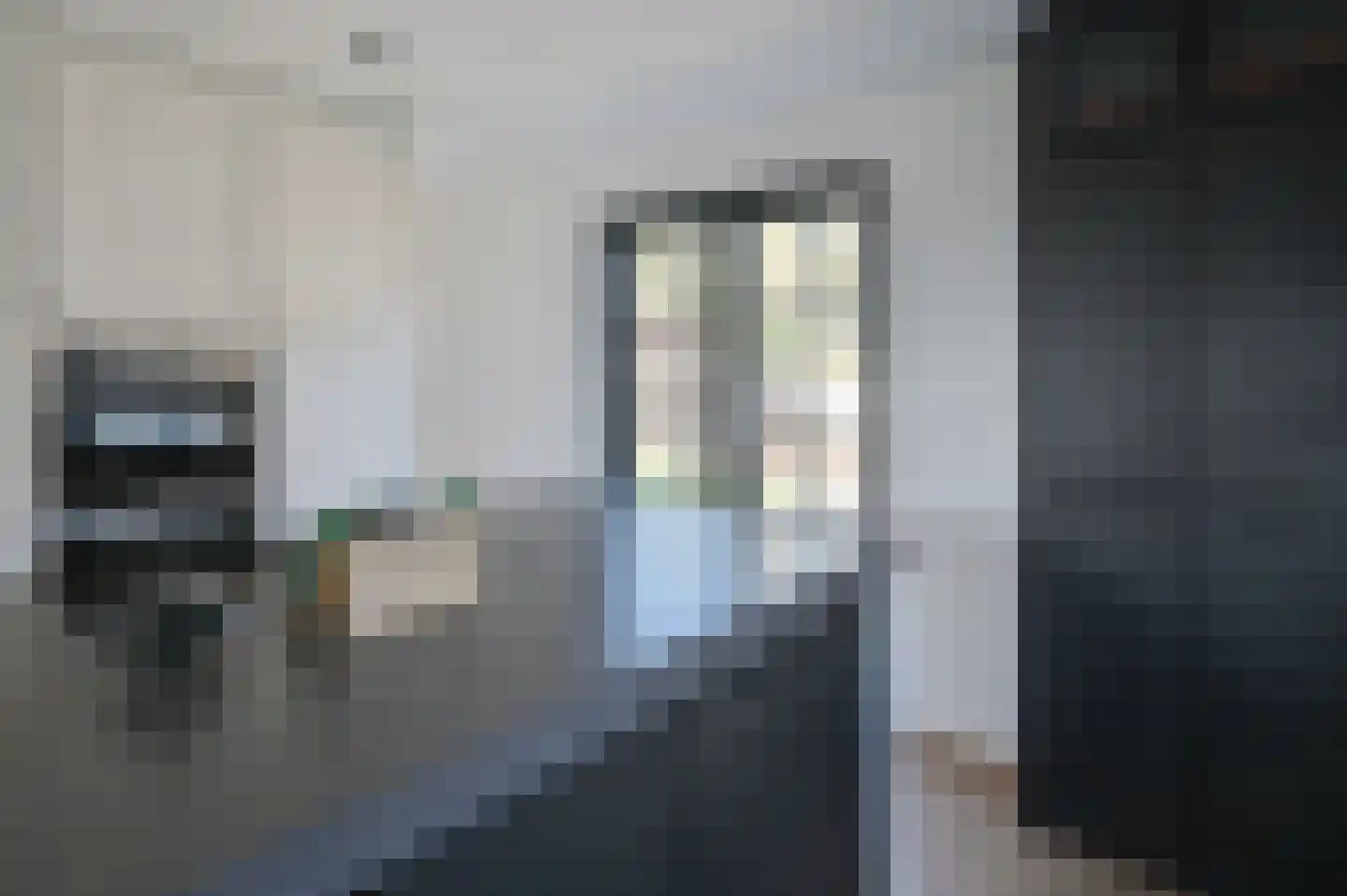 Ringdijk 4 De Kwakel thumbnail 8