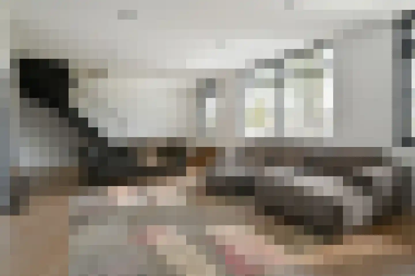 Ringdijk 4 De Kwakel thumbnail 9
