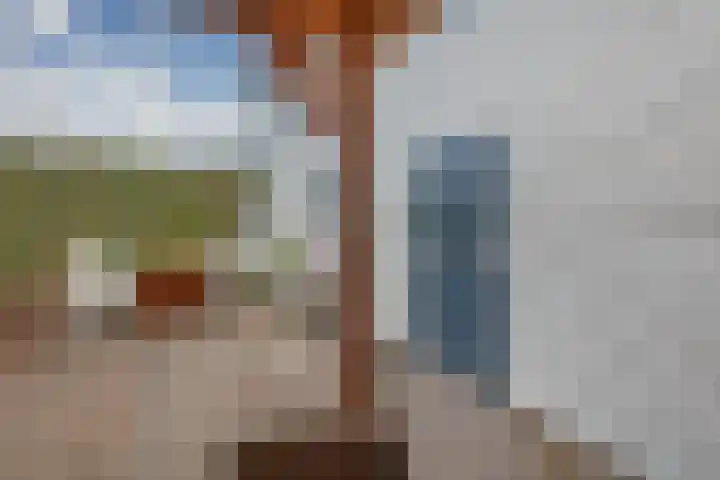 Ringdijk 41 AR Wijdewormer thumbnail 33