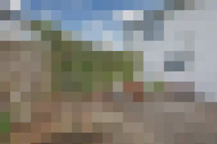 Ringdijk 41 AR Wijdewormer thumbnail 34
