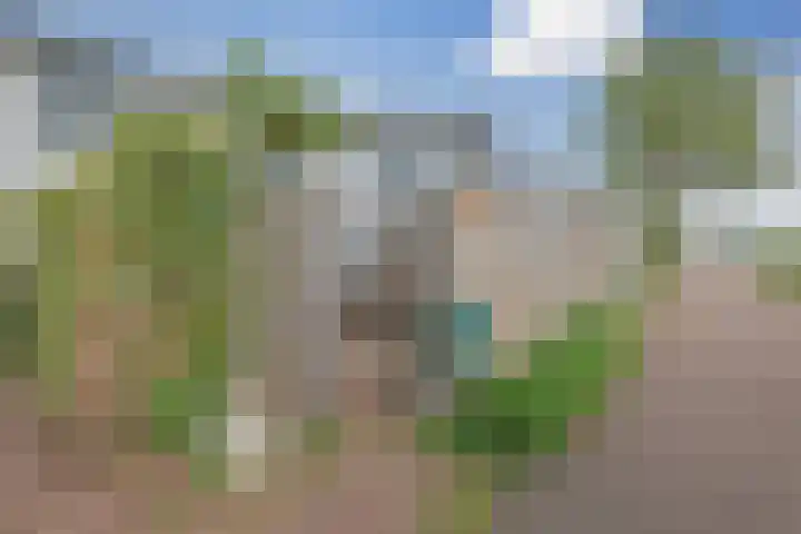 Ringdijk 41 AR Wijdewormer thumbnail 35