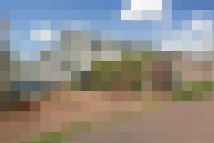 Ringdijk 41 AR Wijdewormer thumbnail 36