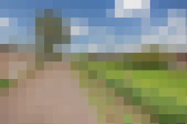 Ringdijk 41 AR Wijdewormer thumbnail 37