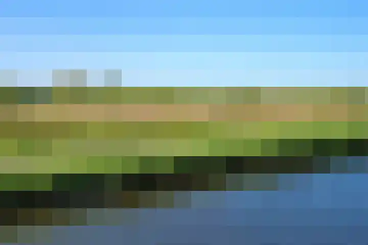 Ringdijk 41 AR Wijdewormer thumbnail 38