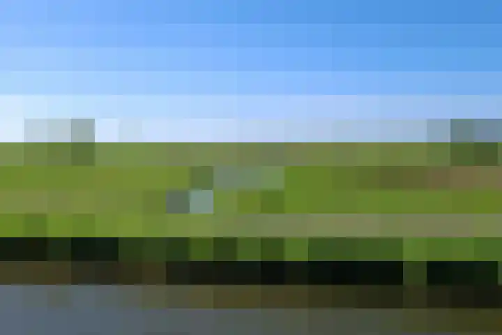 Ringdijk 41 AR Wijdewormer thumbnail 39