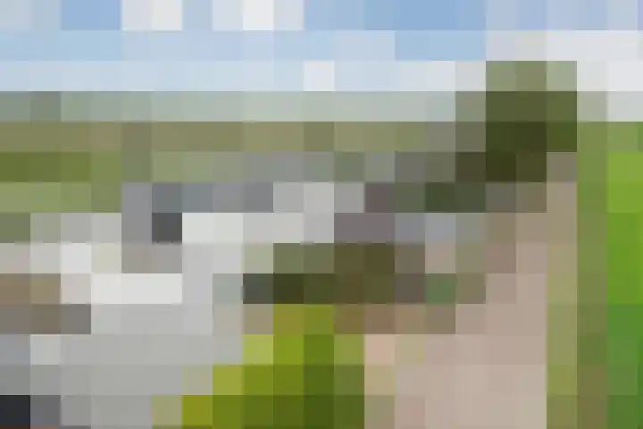 Ringdijk 41 AR Wijdewormer thumbnail 53