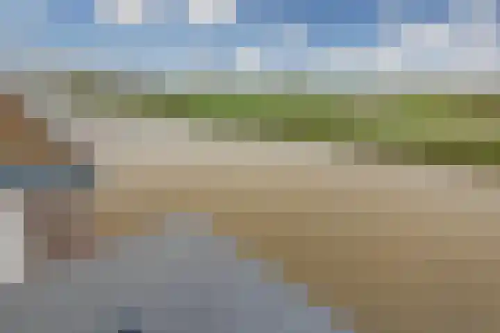Ringdijk 41 AR Wijdewormer thumbnail 7