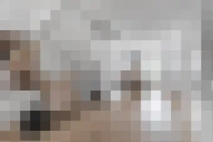 Ringdijk 47 Arnhem thumbnail 12
