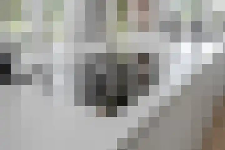 Ringdijk 47 Arnhem thumbnail 17