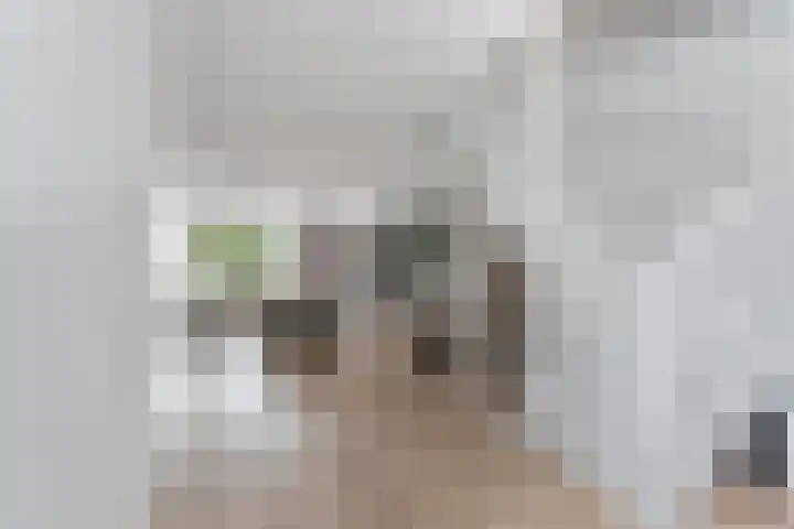 Ringdijk 47 Arnhem thumbnail 19