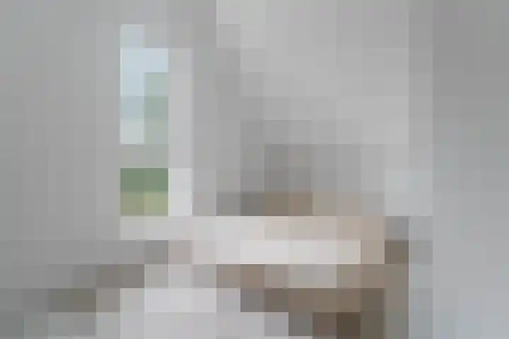 Ringdijk 47 Arnhem thumbnail 32