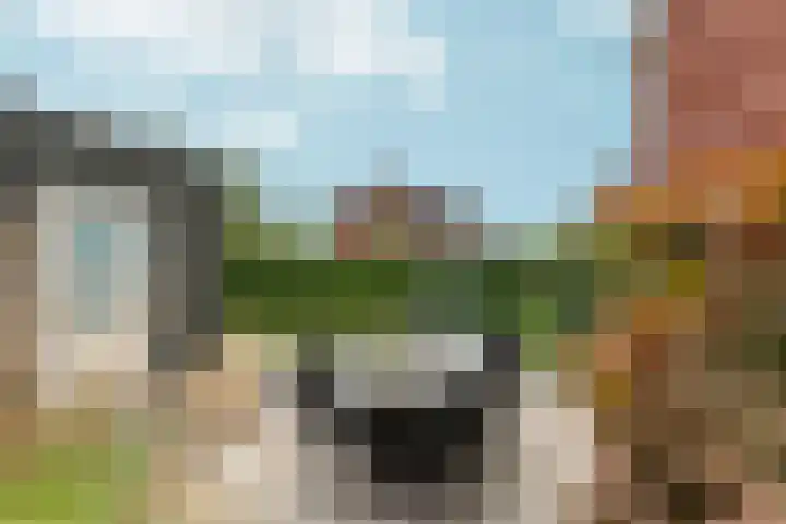 Ringdijk 47 Arnhem thumbnail 39