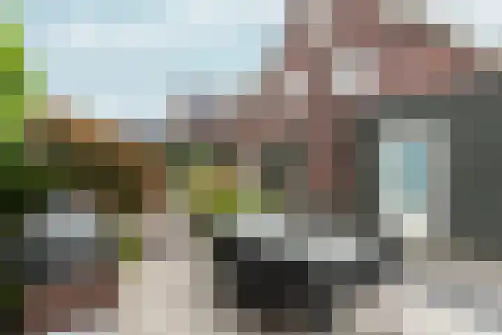 Ringdijk 47 Arnhem thumbnail 4