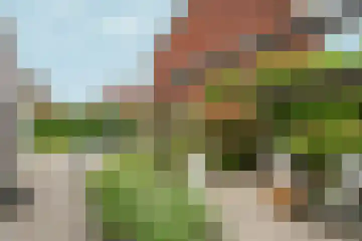 Ringdijk 47 Arnhem thumbnail 41
