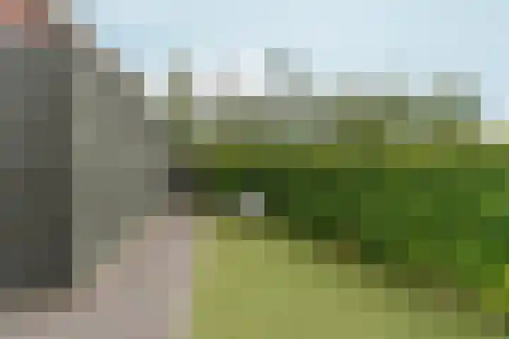 Ringdijk 47 Arnhem thumbnail 42