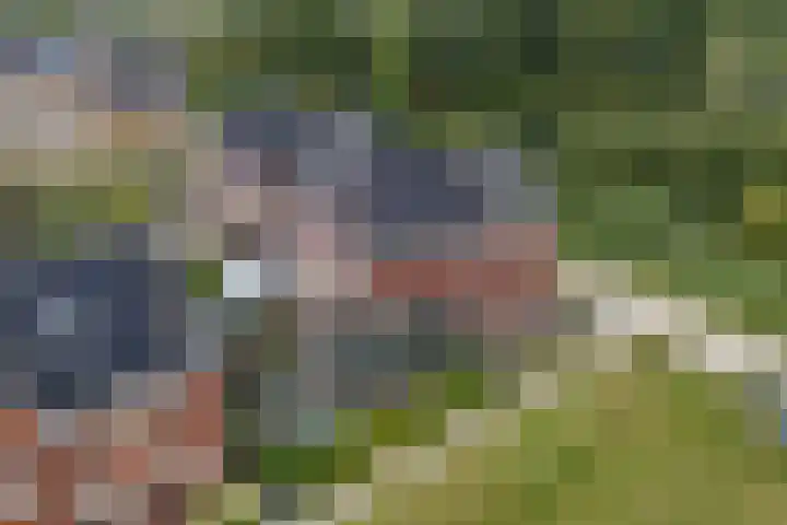 Ringdijk 47 Arnhem thumbnail 46