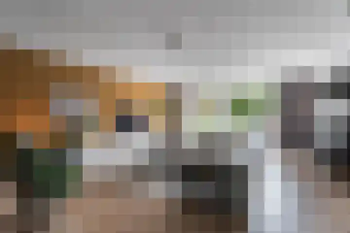 Ringdijk 47 Arnhem thumbnail 7