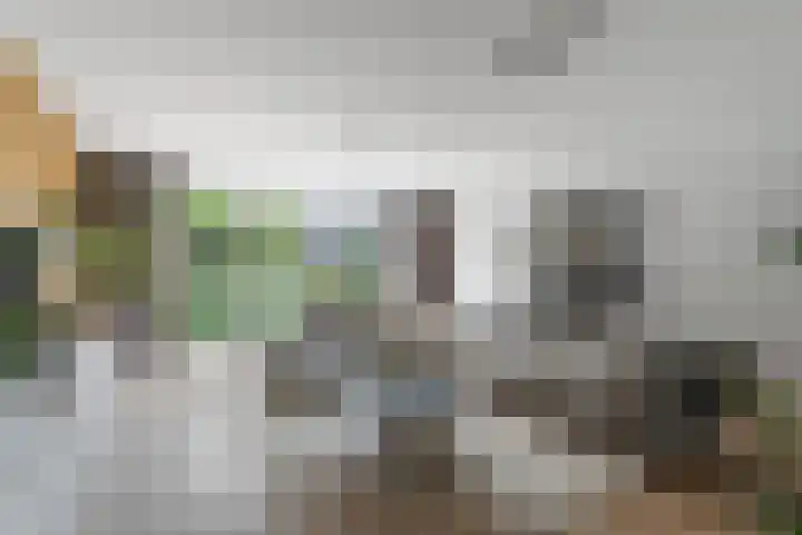 Ringdijk 47 Arnhem thumbnail 8