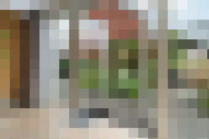 Ringdijk 47 Arnhem thumbnail 9