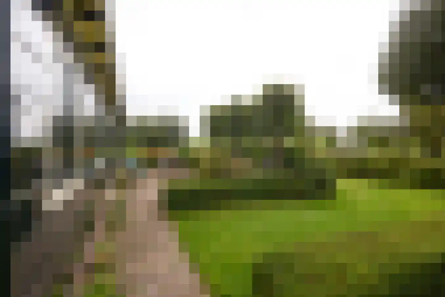 Ringdijk 6 Graft thumbnail 19