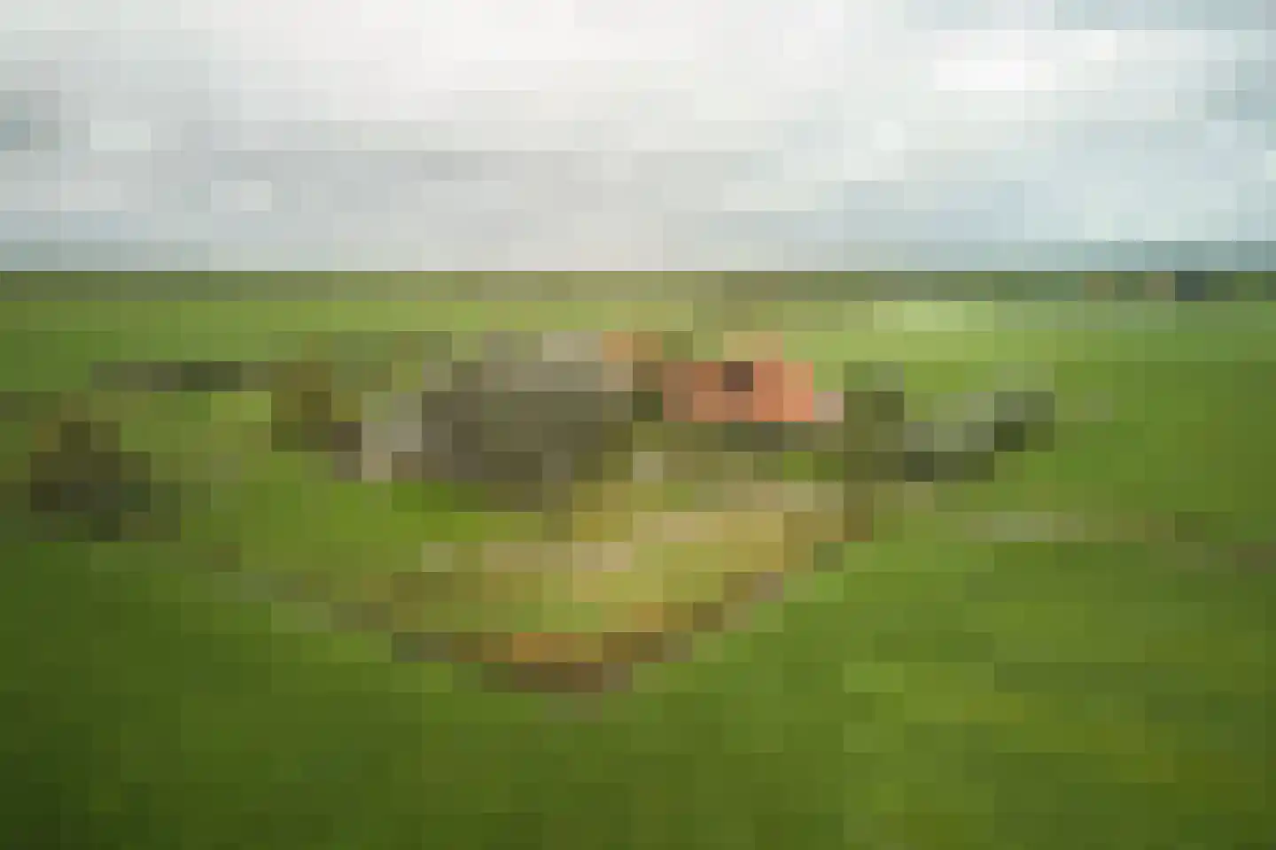 Ringdijk 6 Graft thumbnail 6