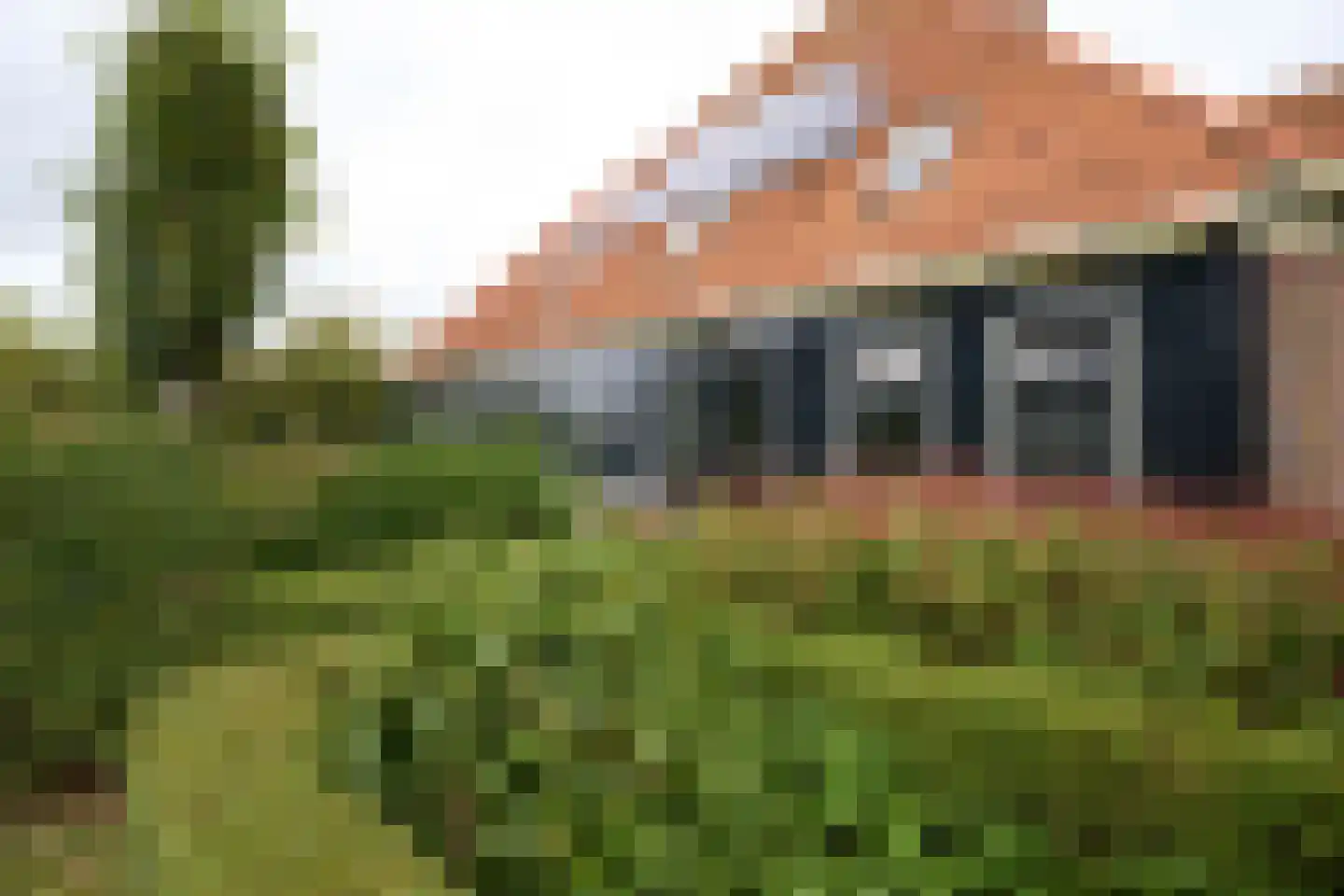 Ringdijk 6 Graft thumbnail 63