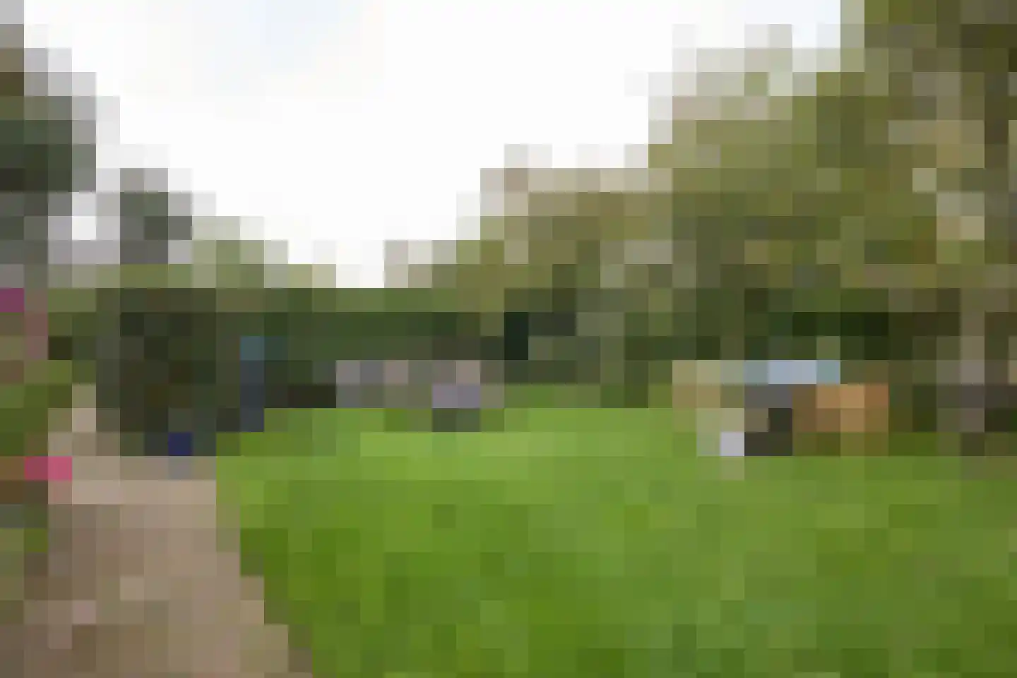 Ringdijk 6 Graft thumbnail 66