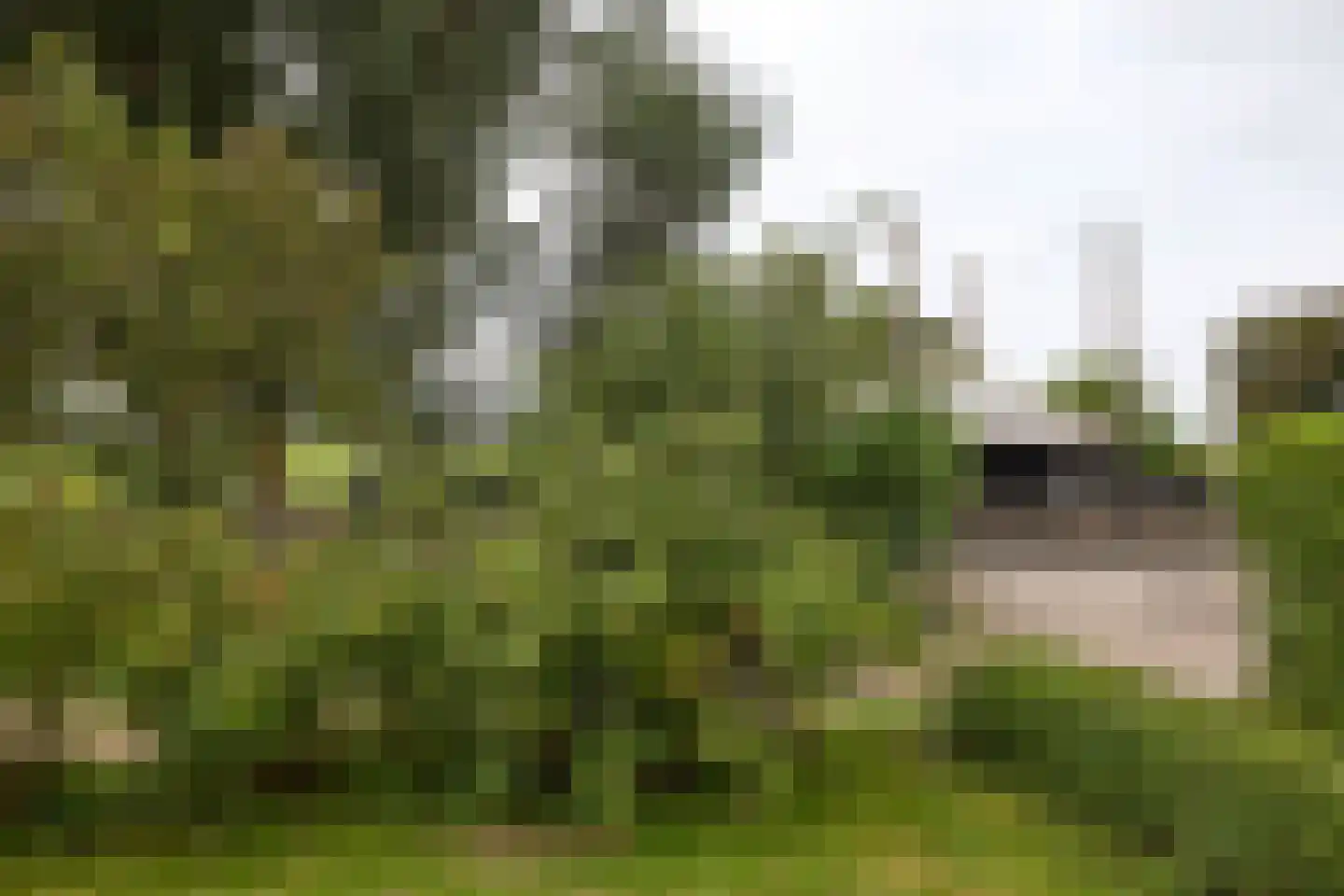 Ringdijk 6 Graft thumbnail 68
