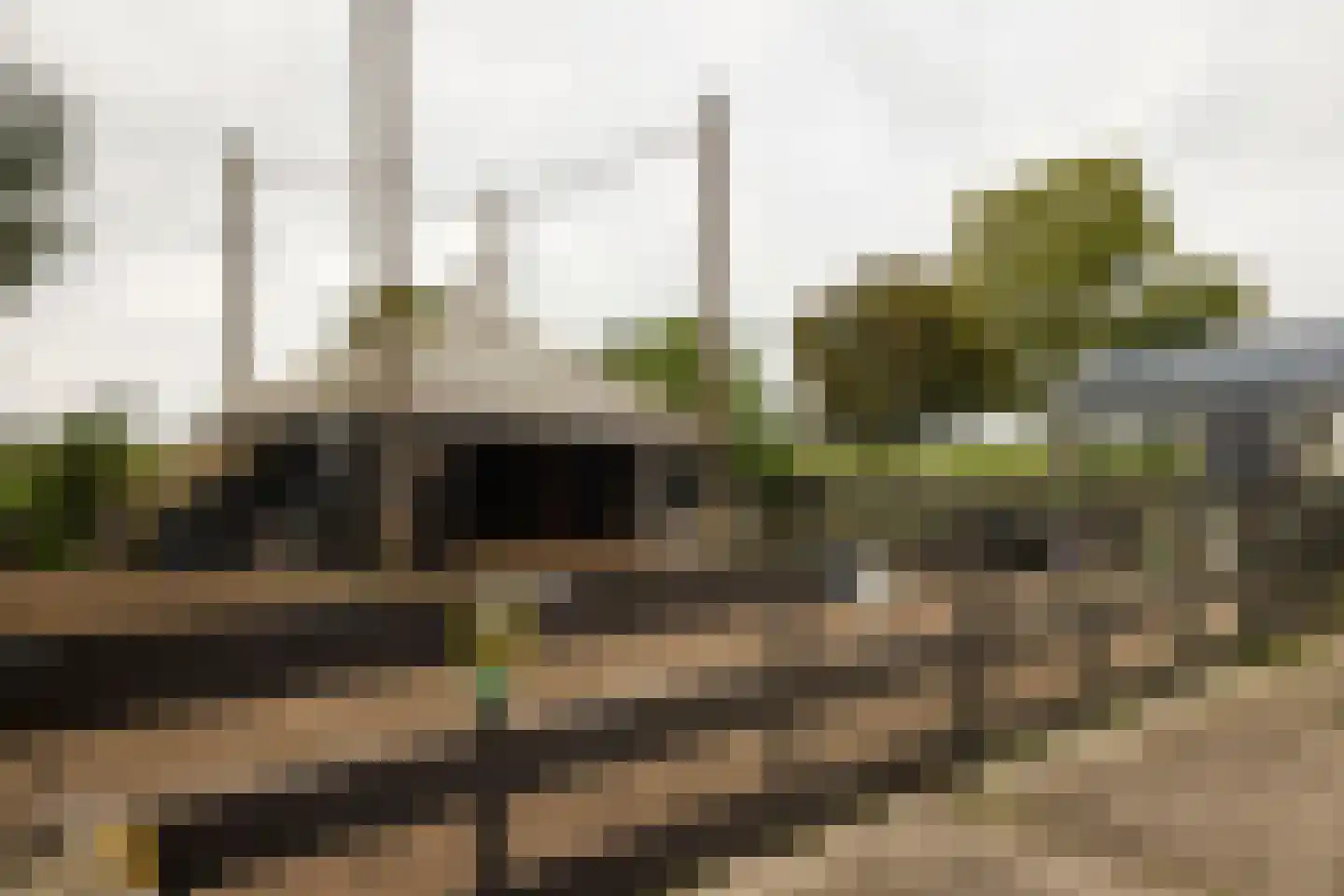 Ringdijk 6 Graft thumbnail 69
