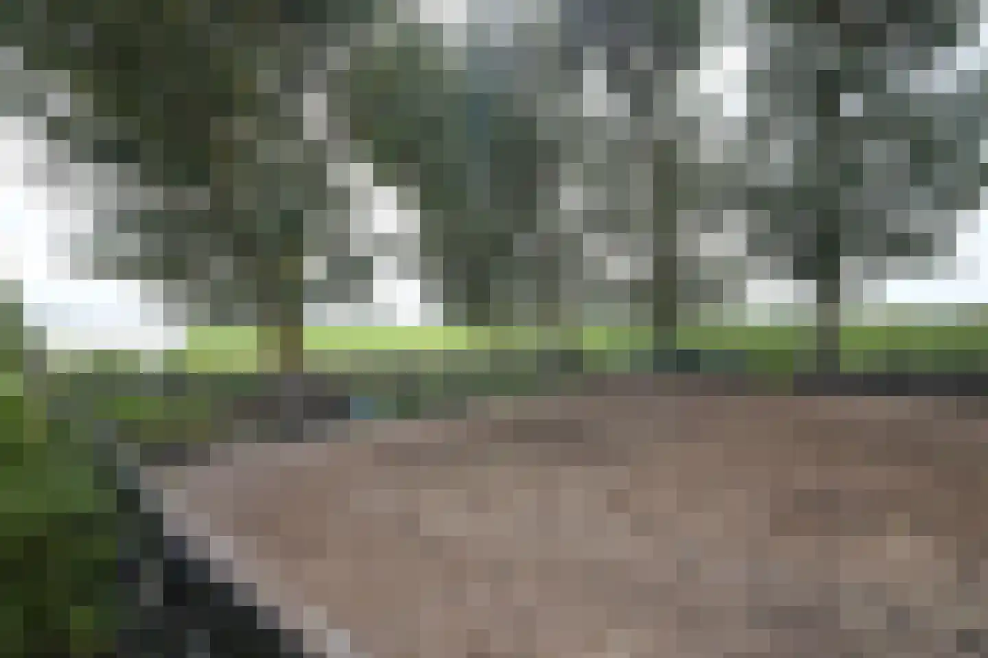 Ringdijk 6 Graft thumbnail 72