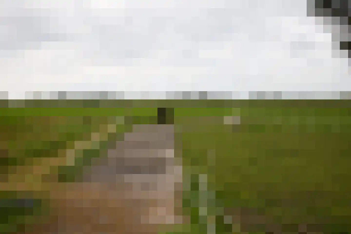 Ringdijk 6 Graft thumbnail 73