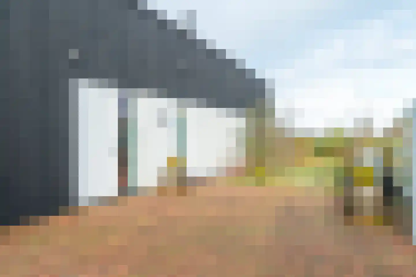 Ringdijk 6 Meerstad thumbnail 12