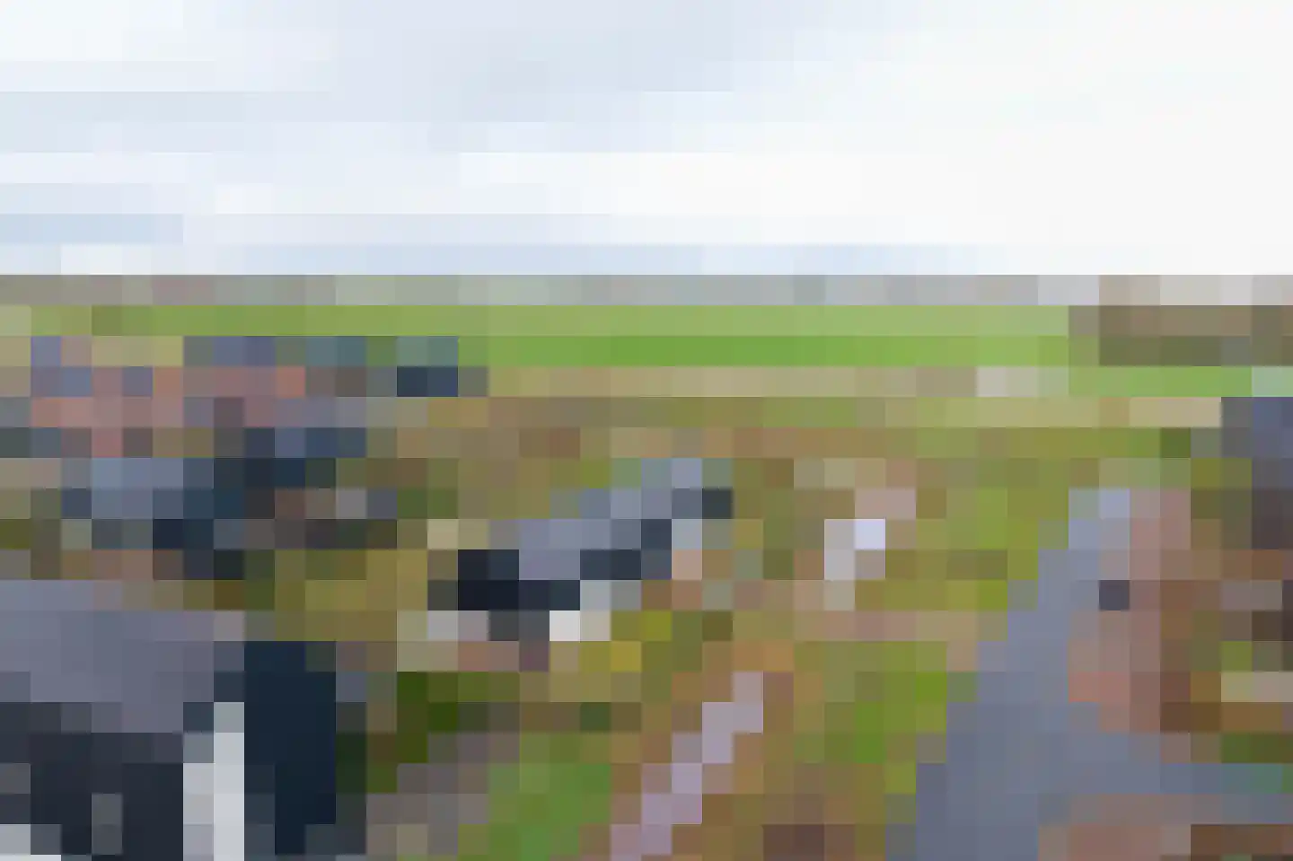 Ringdijk 6 Meerstad thumbnail 61
