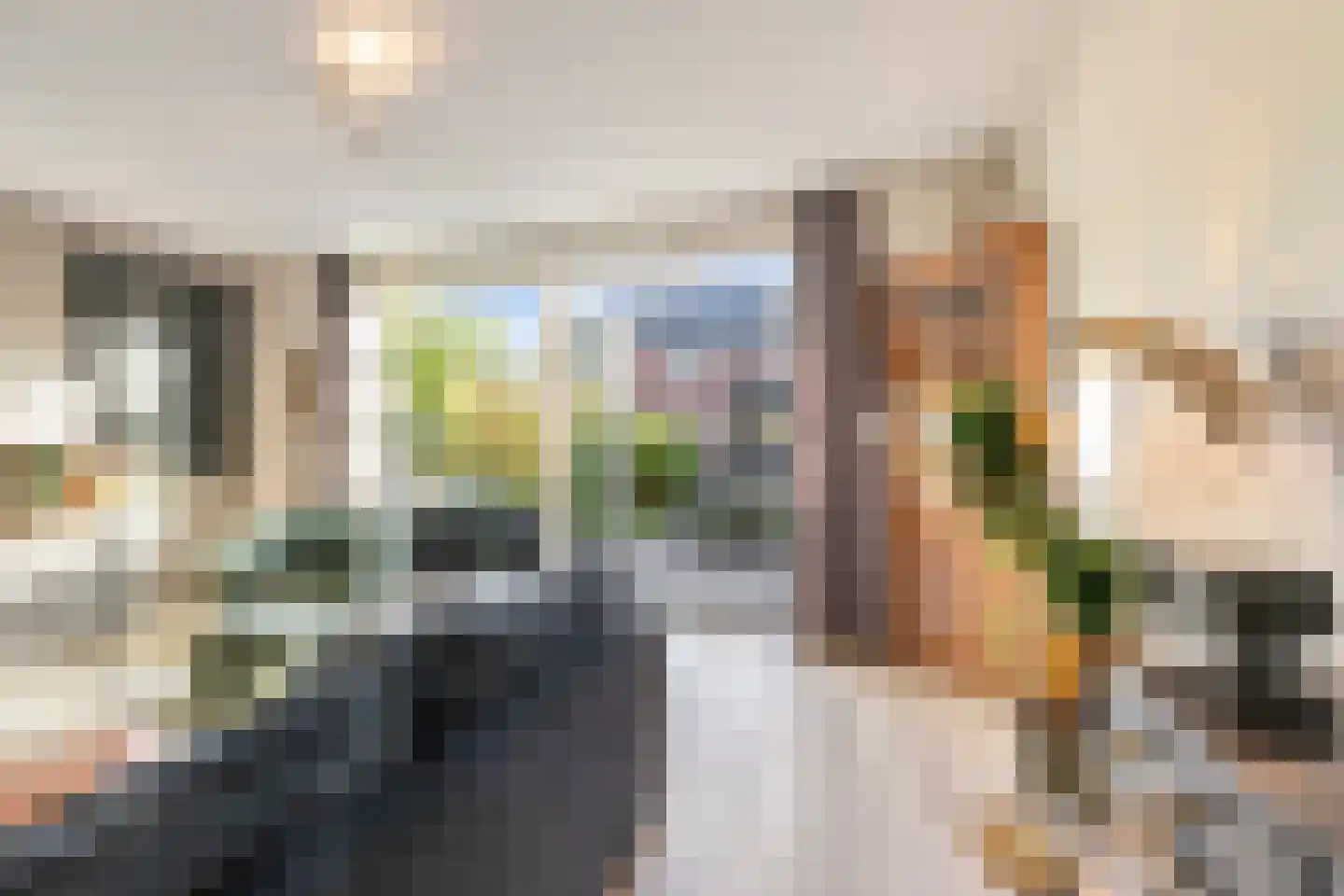 Ringdijk 63 Arnhem thumbnail 12