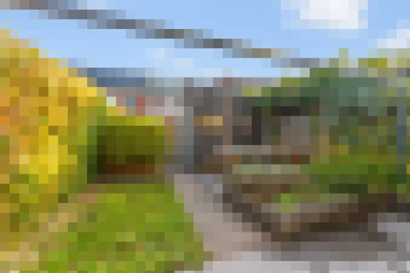Ringdijk 63 Arnhem thumbnail 14