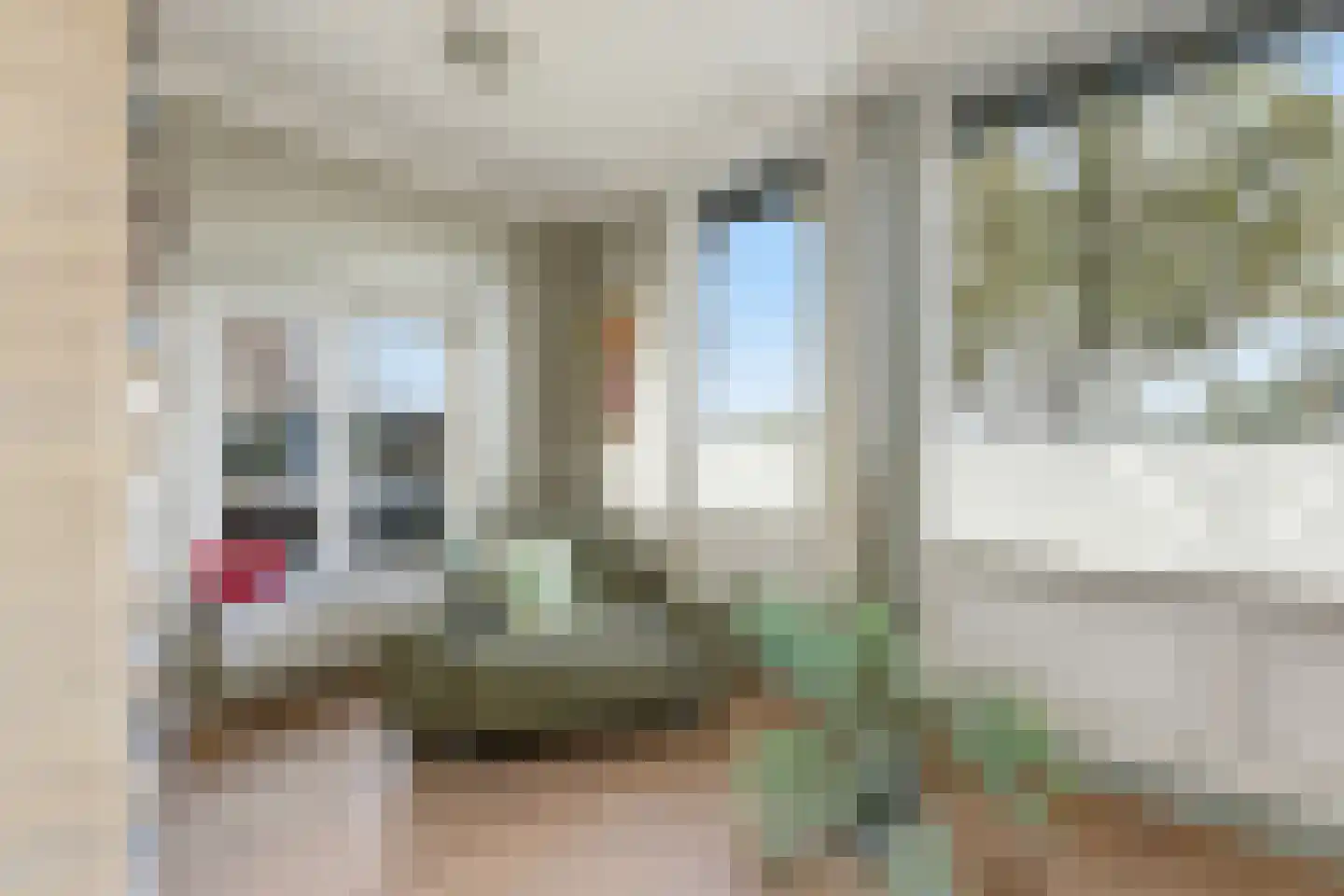 Ringdijk 63 Rotterdam thumbnail 5