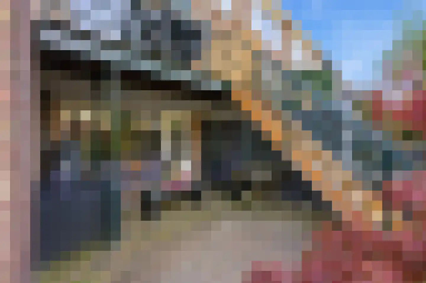 Ringdijk 63 Rotterdam thumbnail 64