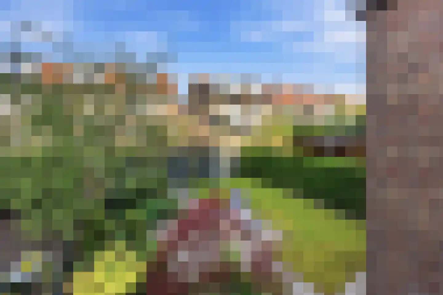Ringdijk 63 Rotterdam thumbnail 66