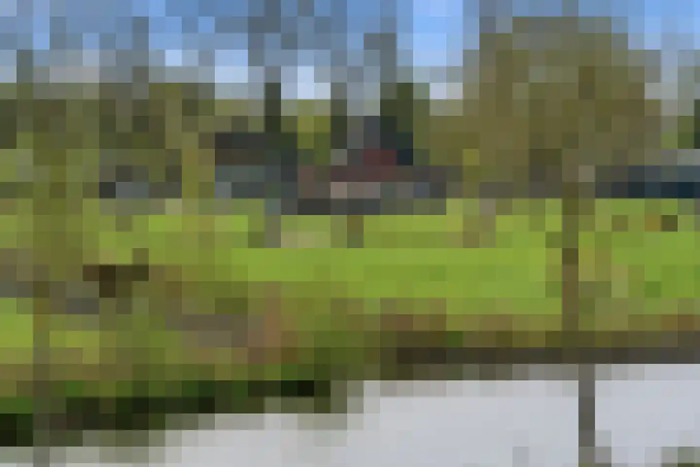 Ringdijk 63 Rotterdam thumbnail 75