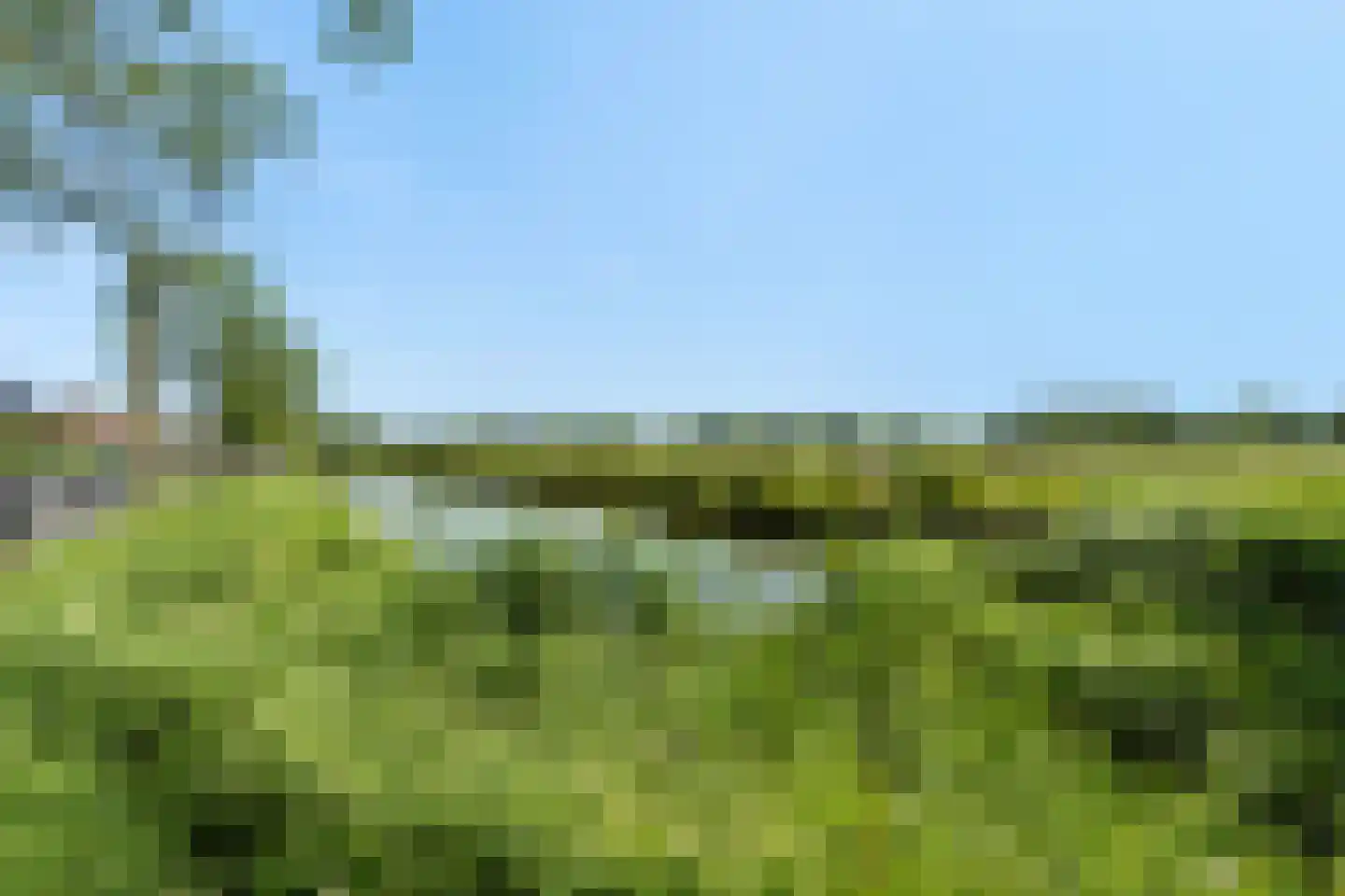 Ringdijk 74 Rotterdam thumbnail 44