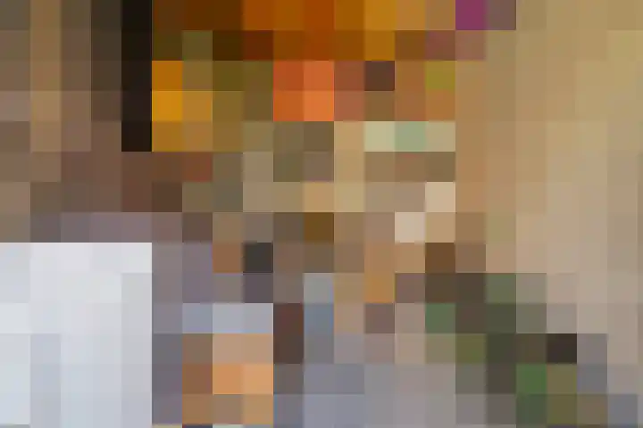 Ringdijk 86 Bemmel thumbnail 19