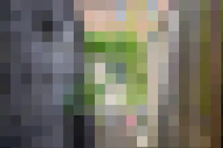 Ringdijk 86 Bemmel thumbnail 20